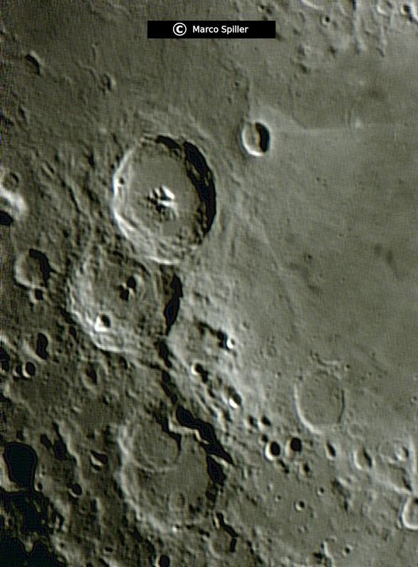 Theophilus & Company